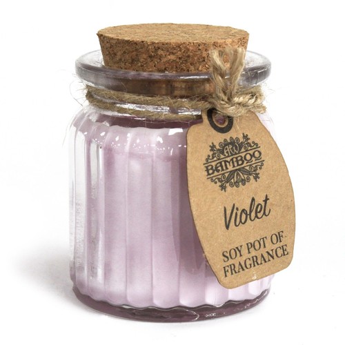 Violet soy pot fragrance - soy,