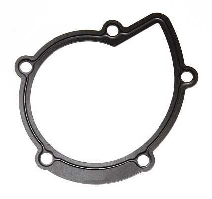Elring 394 280 gasket - 394.280, water