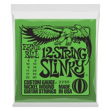 Ernie Ball 12-String Slinky