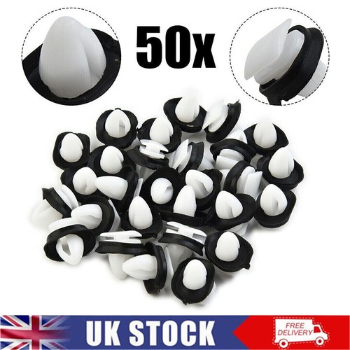 50x 71728806 for - 50x,