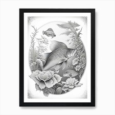 Tancho Koi Fish 1, Haeckel