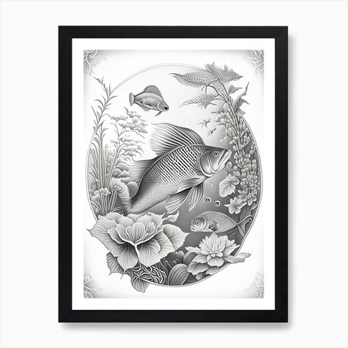 Tancho koi fish haeckel - koi,