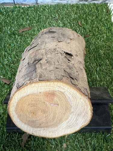 Year air dried - wood, log