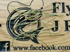 6 Apps Blood Worm Trout Fly