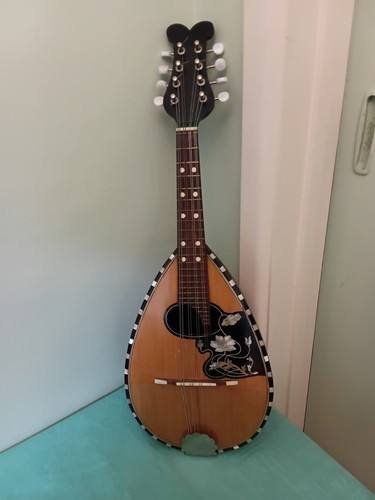 Vintage mandolin roundback - vintage,