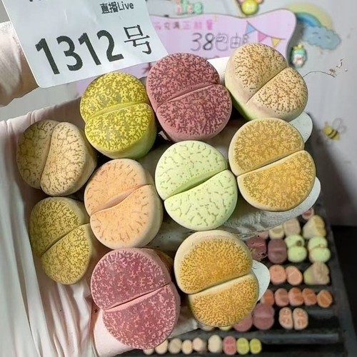 10pcs 2cm random - 2cm+, mix