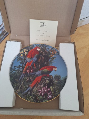 Wedgwood fragile paradise - fragile,
