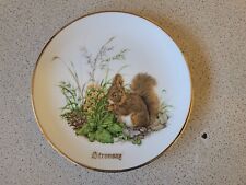 Liverpool Road Pottery Ltd Squirrel Scene Isle of Stronsay Decorative Plate