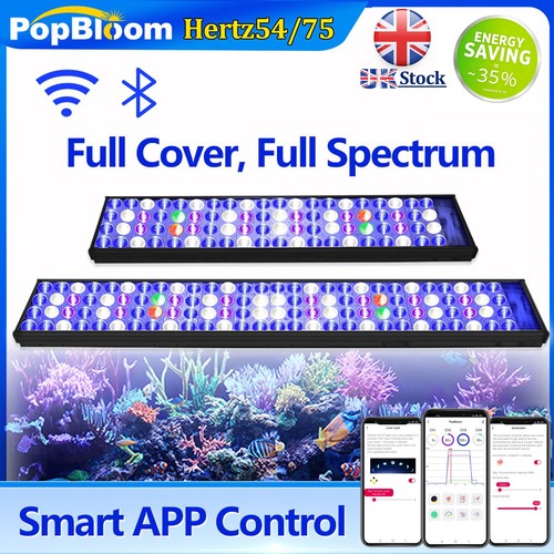 Popbloom wifi aquarium - popbloom,