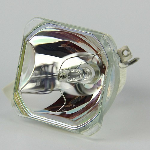 L2312u projector lamp - projector,