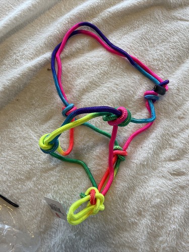 Miniature horse rainbow - horse, rope