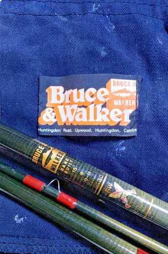 Bruce walker expert - walker,