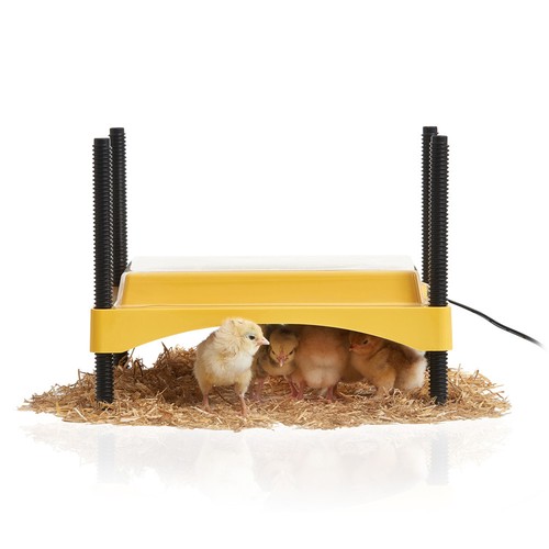 Brinsea ecoglow safety 600 - safety,