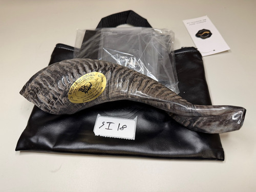 Authentic shofar from israel - authentic,