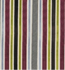 Warwick Laureate Collins FR