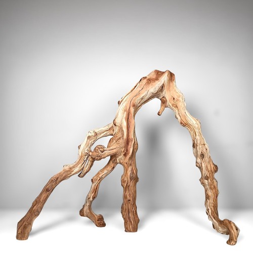 Gnarly manzanita - gnarly,