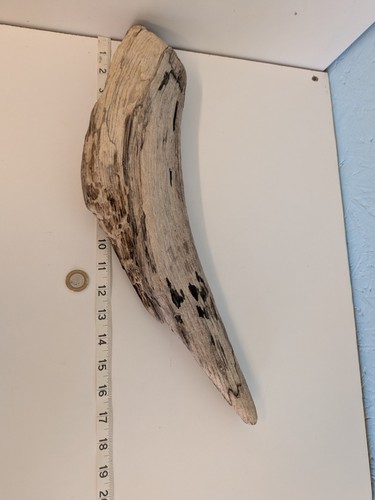 Longish chunky driftwood - chunky,