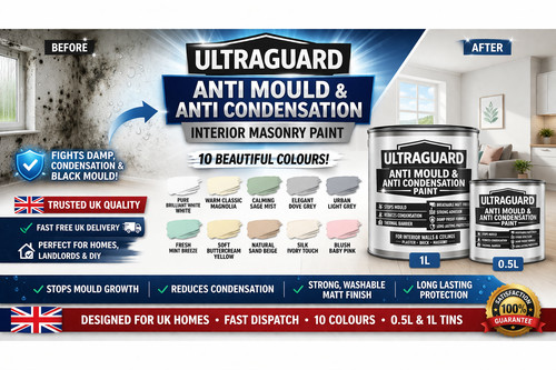 Damp proof anti mould - damp,