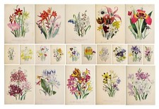 Jane Loudon 1841 Prints