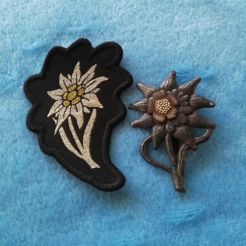Wwii german army edelweiss - german,
