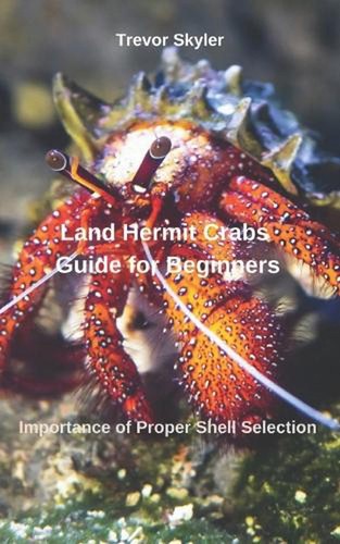 Land hermit crabs guide for - hermit,