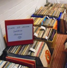 20 x 12" Vinyl LP Records -