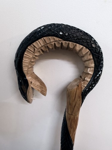 Hand carved walking stick - walking,