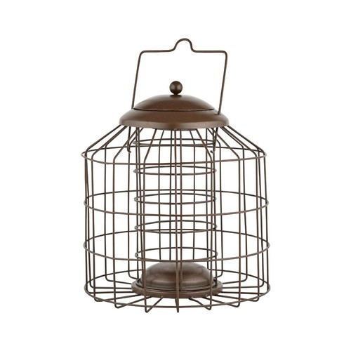 Squirrel proof hanging - proof, bird