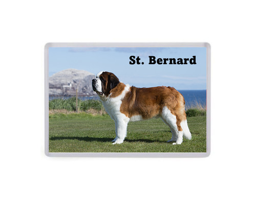 Bernard dog jumbo fridge - bernard,
