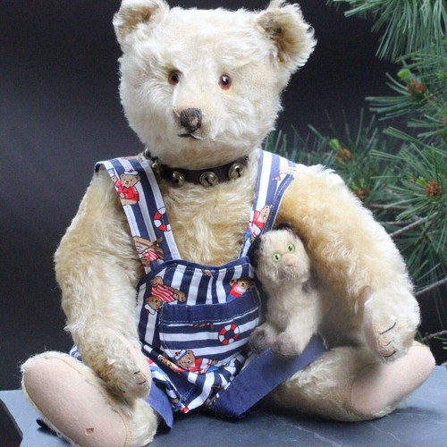 Antique steiff teddy - antique,