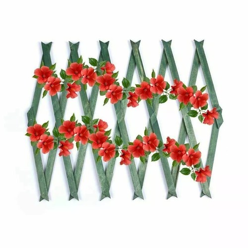Garden trellis climbing plants - climbing,