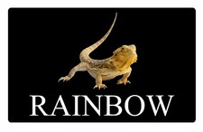 Personalised Bearded Dragon Lizard Name Metal Aluminium Vivarium Sign Plaque Bla