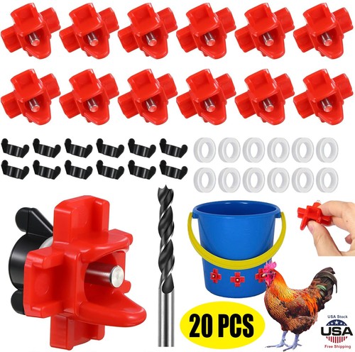 20pcs horizontal chicken - horizontal,