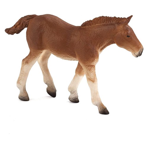 Mojo suffolk punch - foal, horse