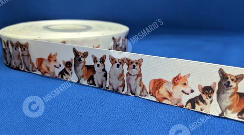 Corgi pet dog - corgi, design