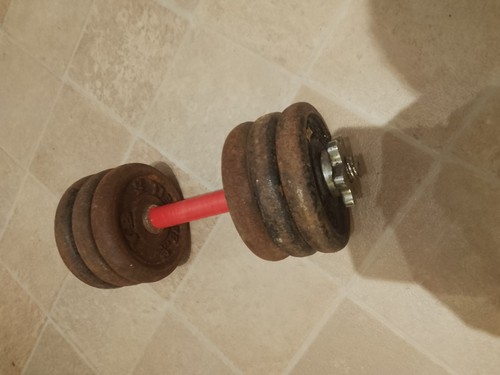 16kg cast iron adjustable - 1x,