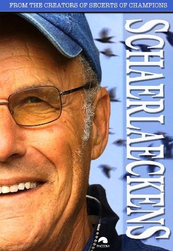 Pigeon racing champions - racing,