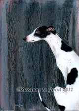 GREYHOUND DOG PRINT FROM