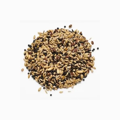 British finch seed - finch,