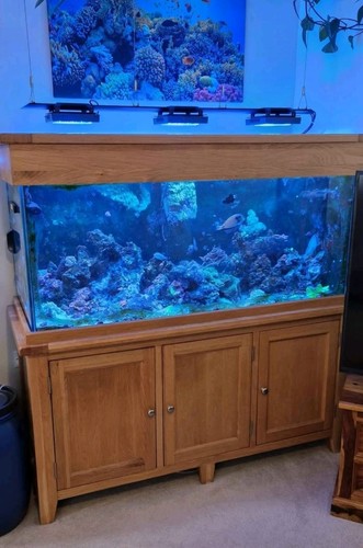 Aqua oak marine tropical - aqua,