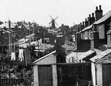 Delce windmill used for grinding corn amid chimney pots in Delce v- Old Photo