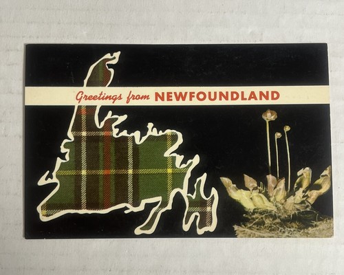 Postcard map newfoundland - postcard, of