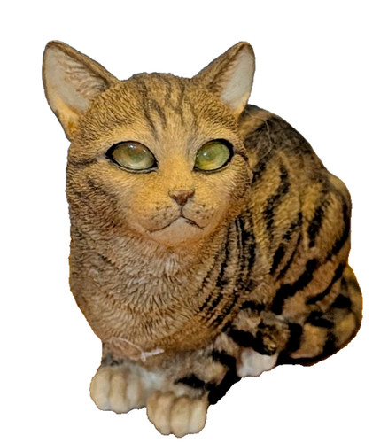 Country artists brown - -, tabby