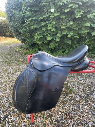 Kent masters - 17.5”,