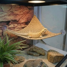 Suction Cup Lizard Hammock