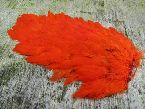 Ifs domestic intense orange - domestic,