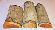 HALF LOGS 3PCS LOT 381A YEW TREE OF HEAVEN WOODTURNING TIMBER BLANK