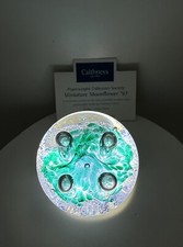 Paperweight Caithness