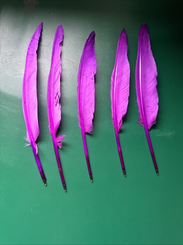 Feather quill pens biro - pens,