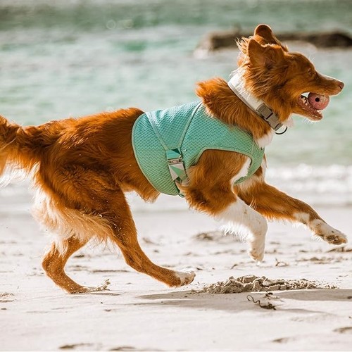 Cooling cool wrap vest coat - cooling,